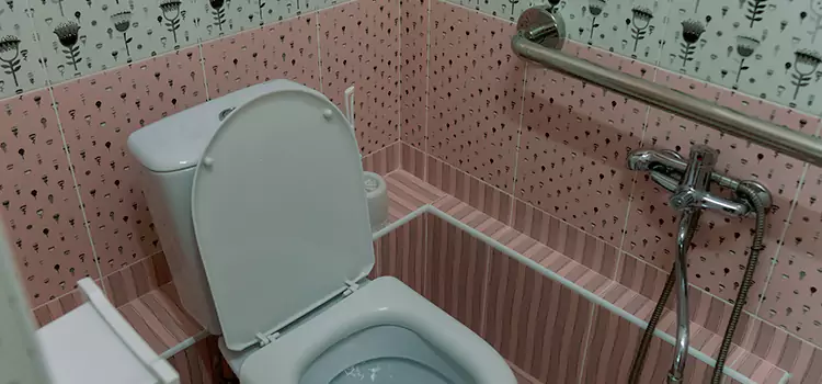 Meeting Diverse Needs With Accessible Restroom Solutions in Lathrop, CA